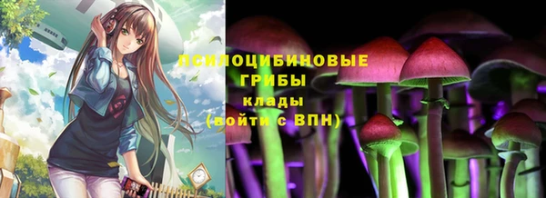 дживик Белоозёрский