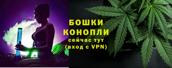 дживик Белоозёрский