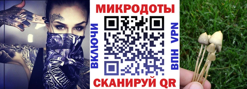 Галлюциногенные грибы прущие грибы  купить   Заволжье 